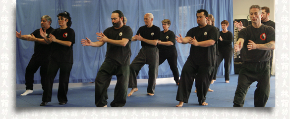 Group Tai Chi lesson